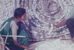 Sericulture